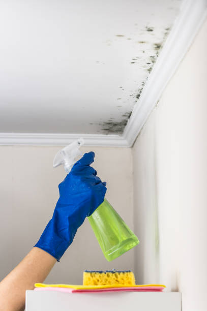 Best Biohazard Mold Removal  in Lacoochee, FL